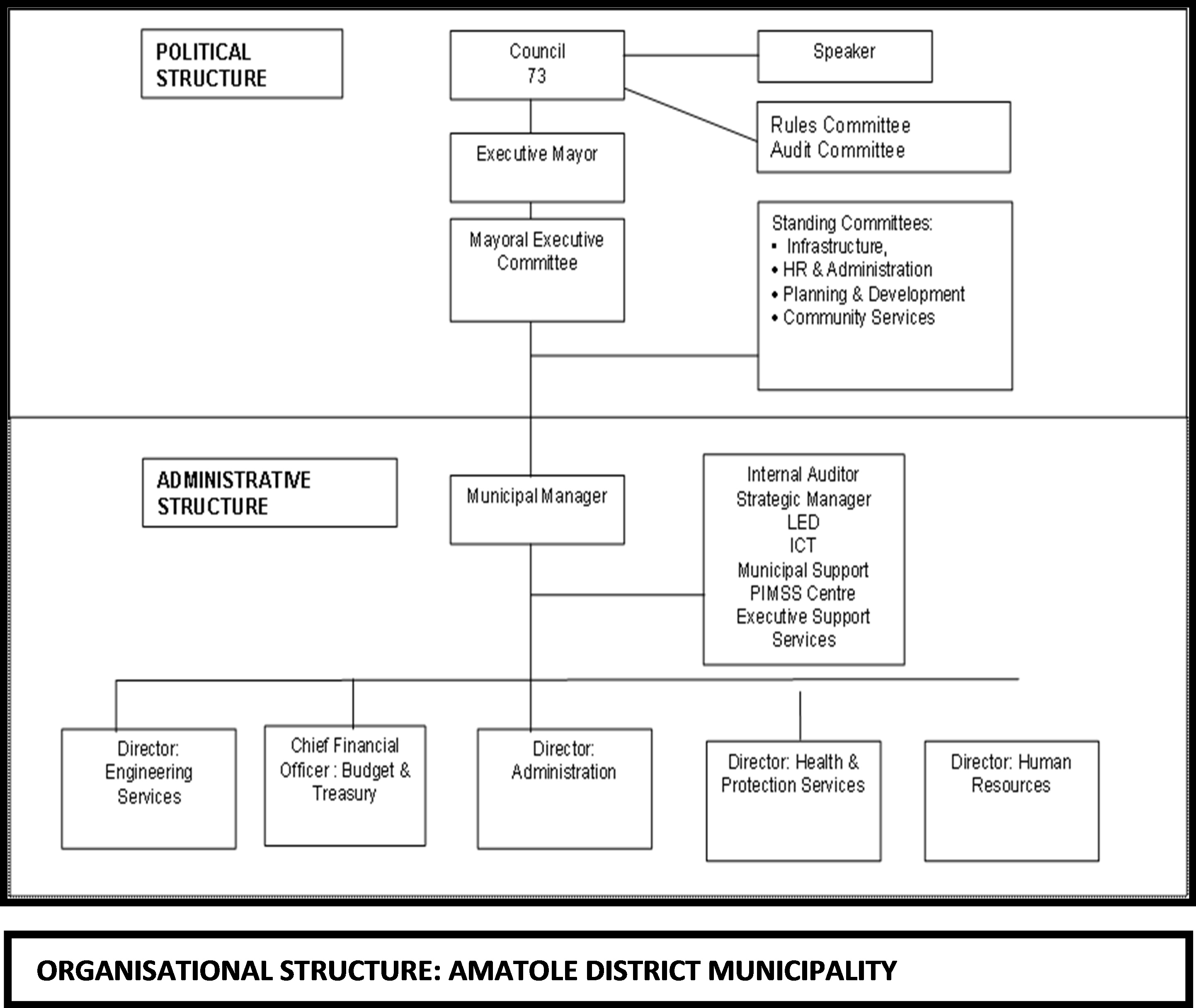 organogram